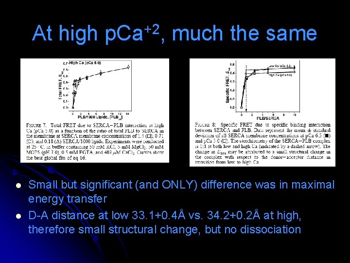 At high p. Ca+2, much the same l l Small but significant (and ONLY) At high p. Ca+2, much the same l l Small but significant (and ONLY)