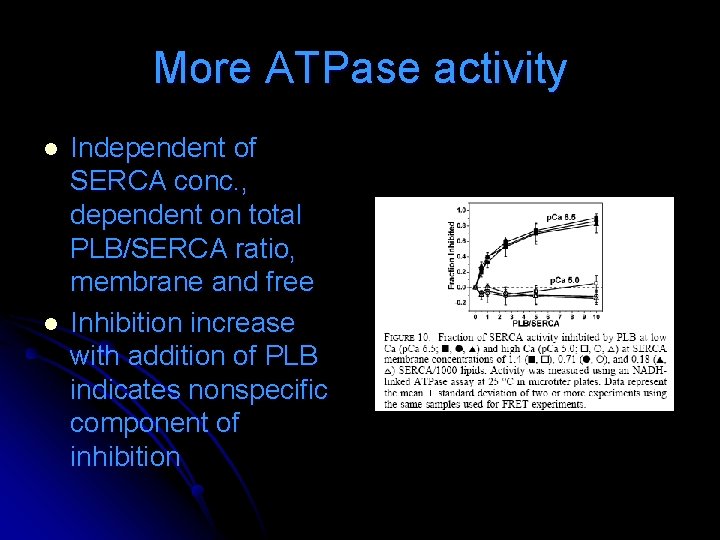More ATPase activity l l Independent of SERCA conc. , dependent on total PLB/SERCA More ATPase activity l l Independent of SERCA conc. , dependent on total PLB/SERCA