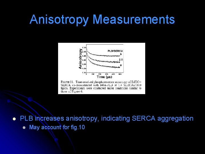 Anisotropy Measurements l PLB increases anisotropy, indicating SERCA aggregation l May account for fig. Anisotropy Measurements l PLB increases anisotropy, indicating SERCA aggregation l May account for fig.