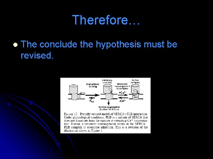 Therefore… l The conclude the hypothesis must be revised. Therefore… l The conclude the hypothesis must be revised.
