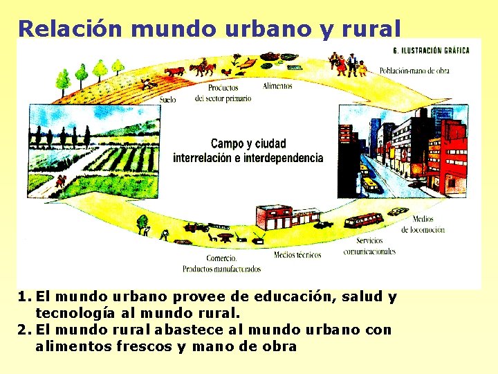 Relación mundo urbano y rural 1. El mundo urbano provee de educación, salud y