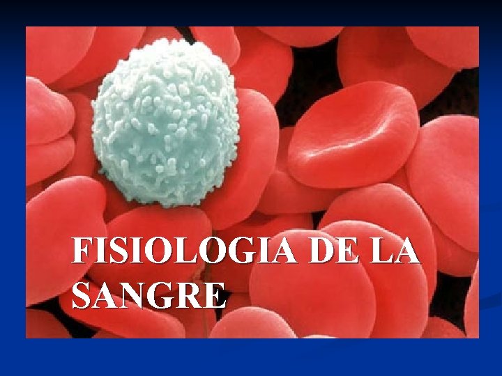 FISIOLOGIA DE LA SANGRE 