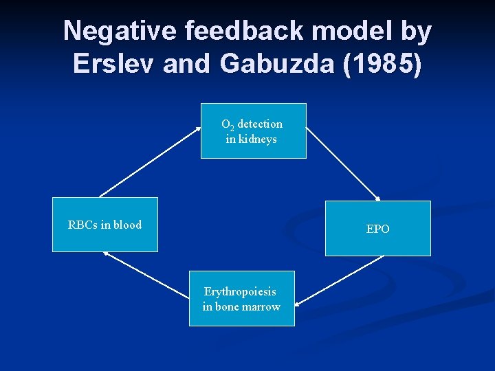 Negative feedback model by Erslev and Gabuzda (1985) O 2 detection in kidneys RBCs