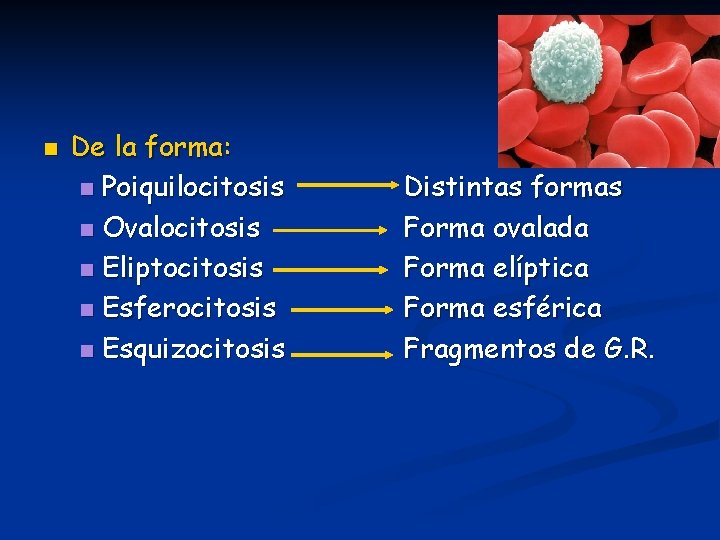 n De la forma: n Poiquilocitosis n Ovalocitosis n Eliptocitosis n Esferocitosis n Esquizocitosis