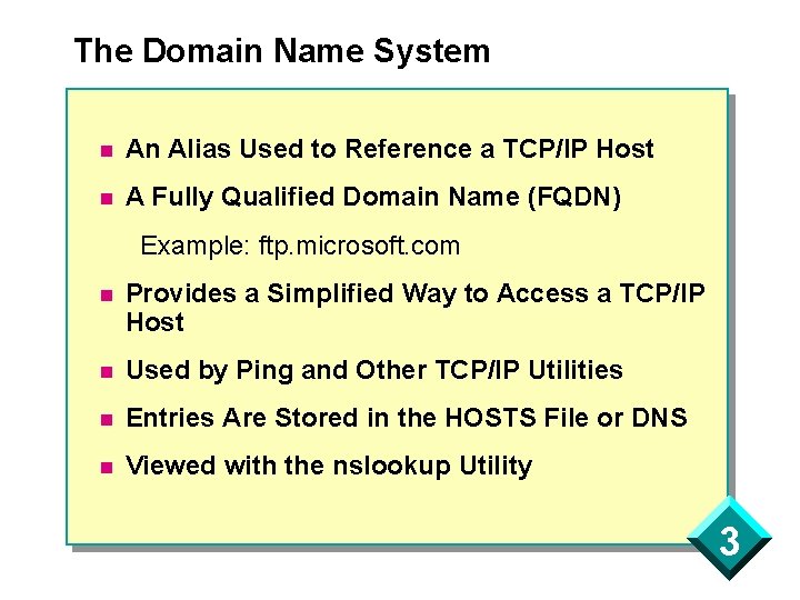 The Domain Name System n An Alias Used to Reference a TCP/IP Host n