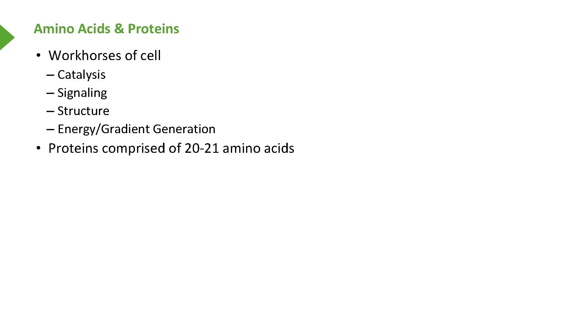 Amino Acids & Proteins • Workhorses of cell – Catalysis – Signaling – Structure