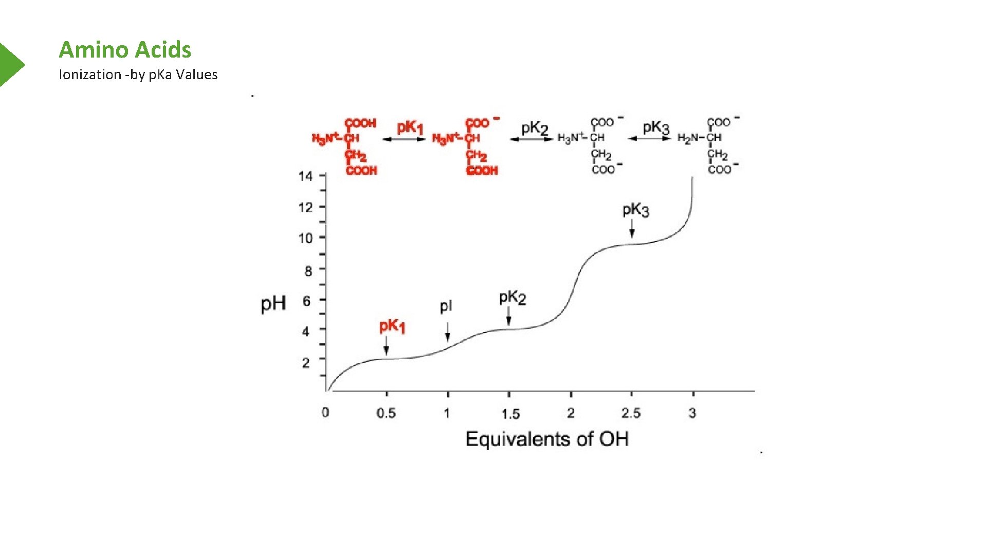 Amino Acids Ionization -by p. Ka Values 