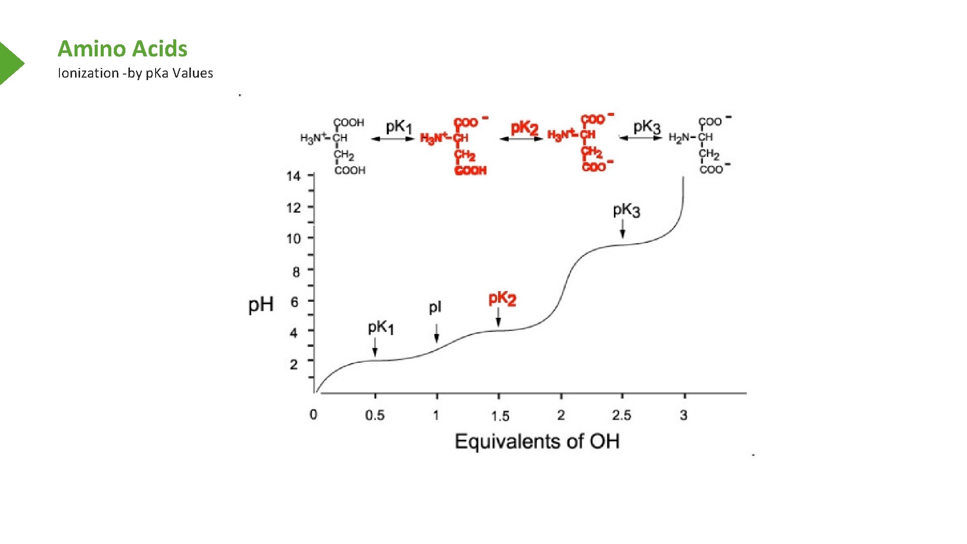 Amino Acids Ionization -by p. Ka Values 