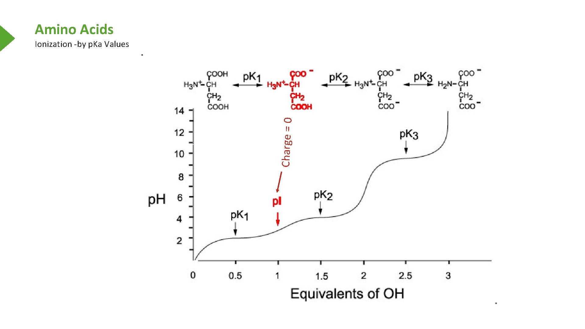 Amino Acids Charge = 0 Ionization -by p. Ka Values 