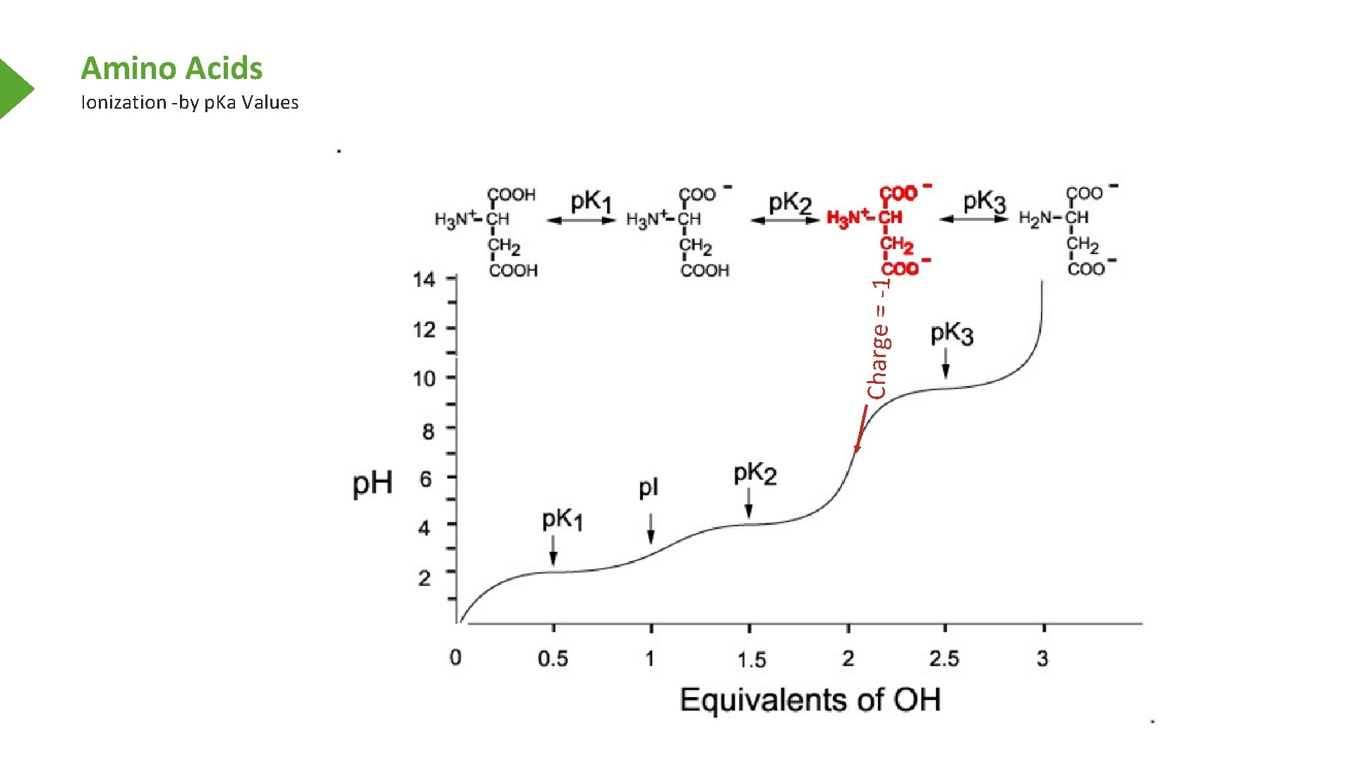Amino Acids Charge = -1 Ionization -by p. Ka Values 