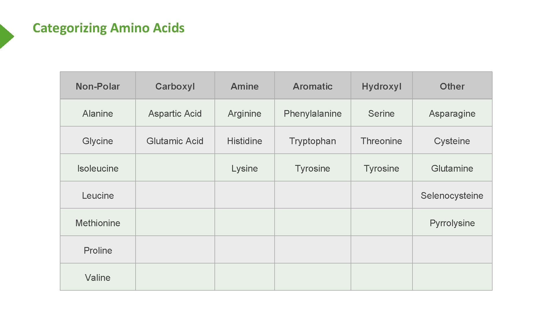 Categorizing Amino Acids Non-Polar Carboxyl Amine Aromatic Hydroxyl Other Alanine Aspartic Acid Arginine Phenylalanine