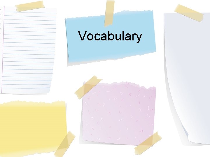 Vocabulary 