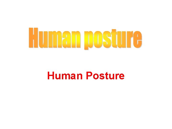 Human Posture 