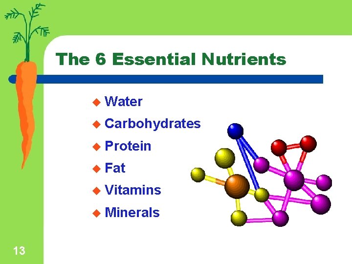 The 6 Essential Nutrients u Water u Carbohydrates u Protein u Fat u Vitamins