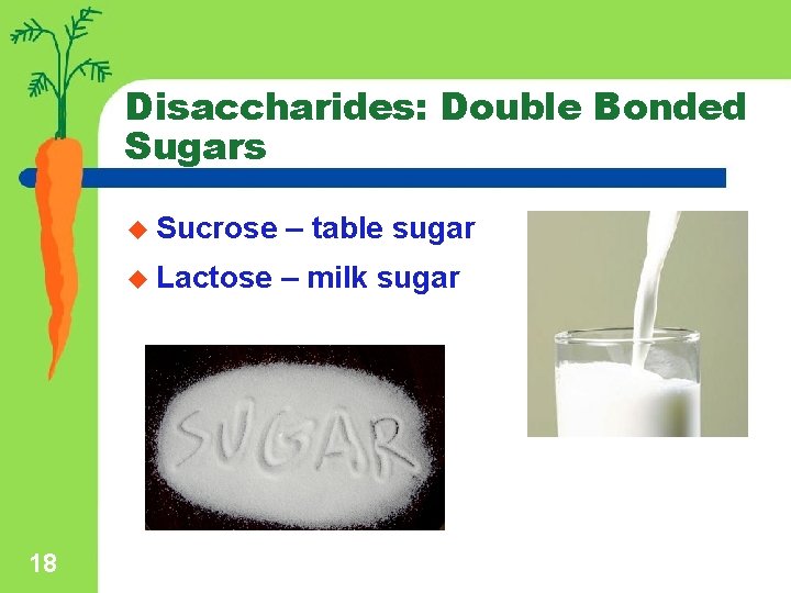 Disaccharides: Double Bonded Sugars 18 u Sucrose – table sugar u Lactose – milk