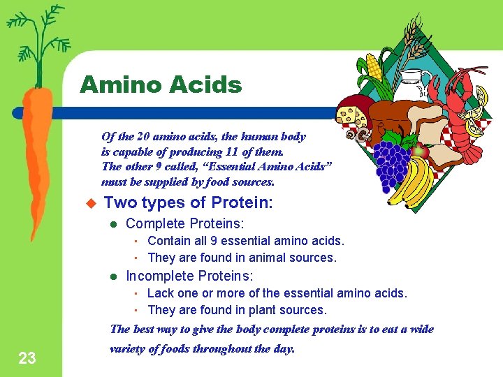 Amino Acids Of the 20 amino acids, the human body is capable of producing