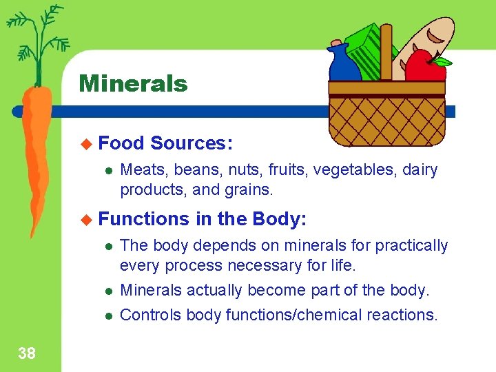 Minerals u Food l Sources: Meats, beans, nuts, fruits, vegetables, dairy products, and grains.