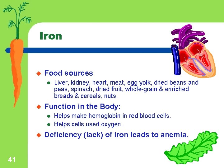 Iron u Food sources l u Function in the Body: l l u 41