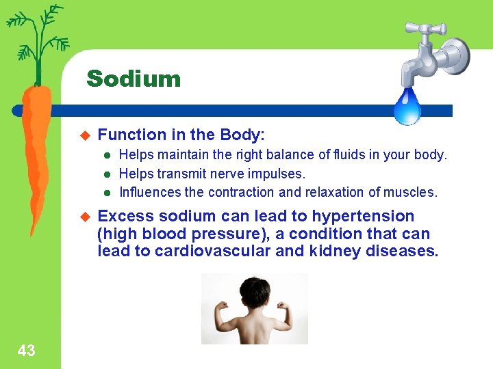 Sodium u Function in the Body: l l l u 43 Helps maintain the