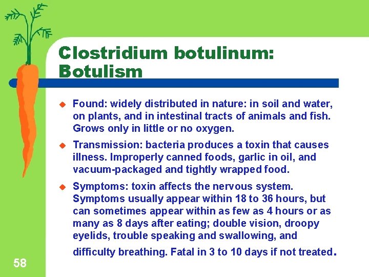 Clostridium botulinum: Botulism 58 u Found: widely distributed in nature: in soil and water,