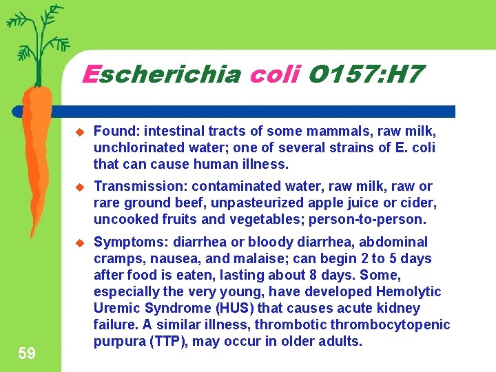 Escherichia coli O 157: H 7 59 u Found: intestinal tracts of some mammals,