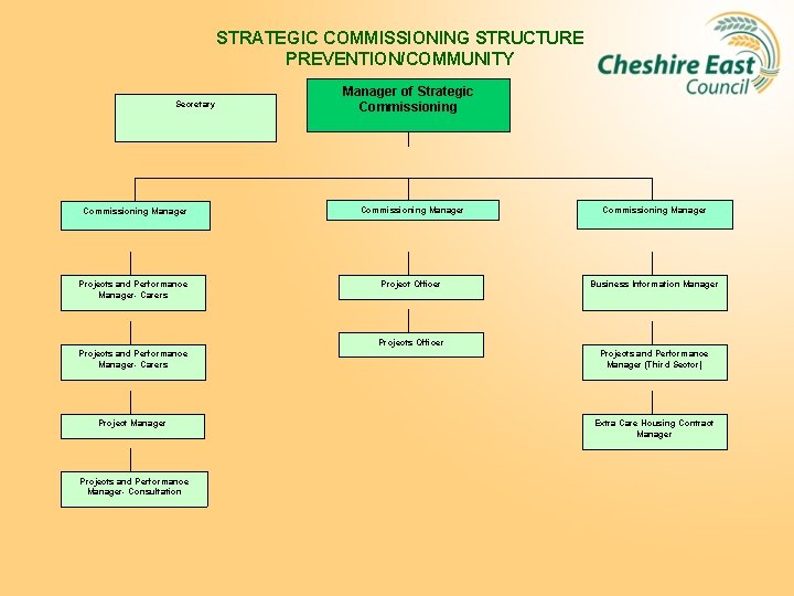 STRATEGIC COMMISSIONING STRUCTURE PREVENTION/COMMUNITY Secretary Manager of Strategic Commissioning Manager Projects and Performance Manager-