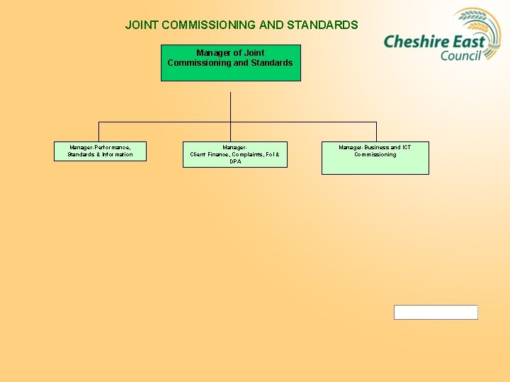JOINT COMMISSIONING AND STANDARDS Manager of Joint Commissioning and Standards Manager-Performance, Standards & Information
