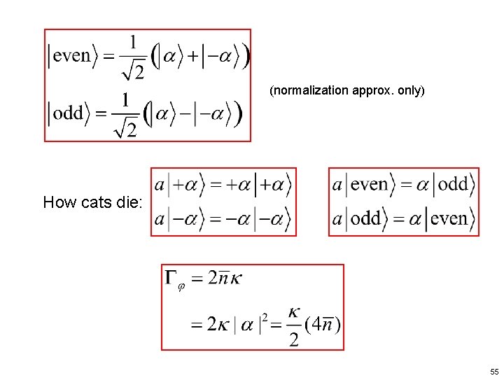 (normalization approx. only) How cats die: 55 
