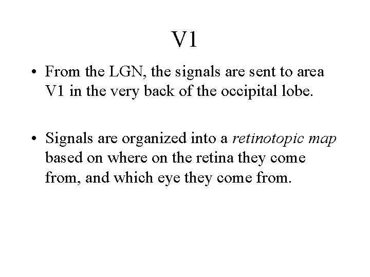 V 1 • From the LGN, the signals are sent to area V 1