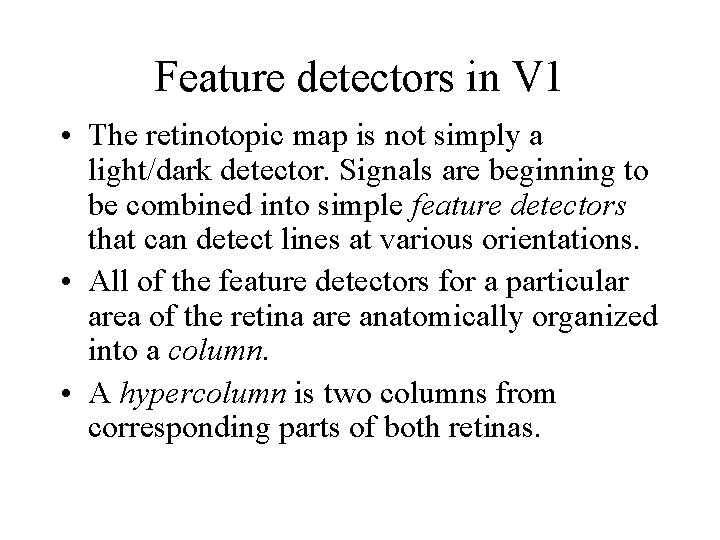 Feature detectors in V 1 • The retinotopic map is not simply a light/dark