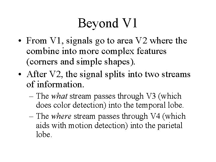 Beyond V 1 • From V 1, signals go to area V 2 where