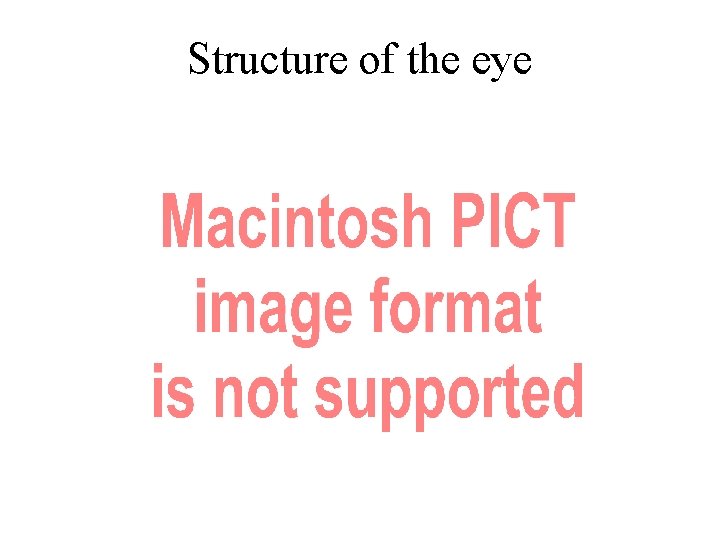 Structure of the eye 