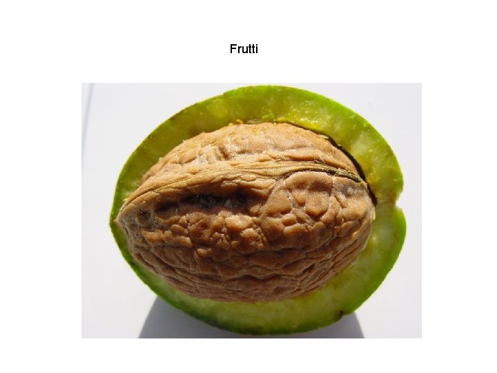 Frutti 