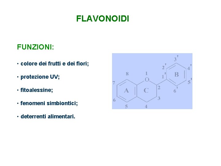 FLAVONOIDI FUNZIONI: • colore dei frutti e dei fiori; • protezione UV; • fitoalessine;