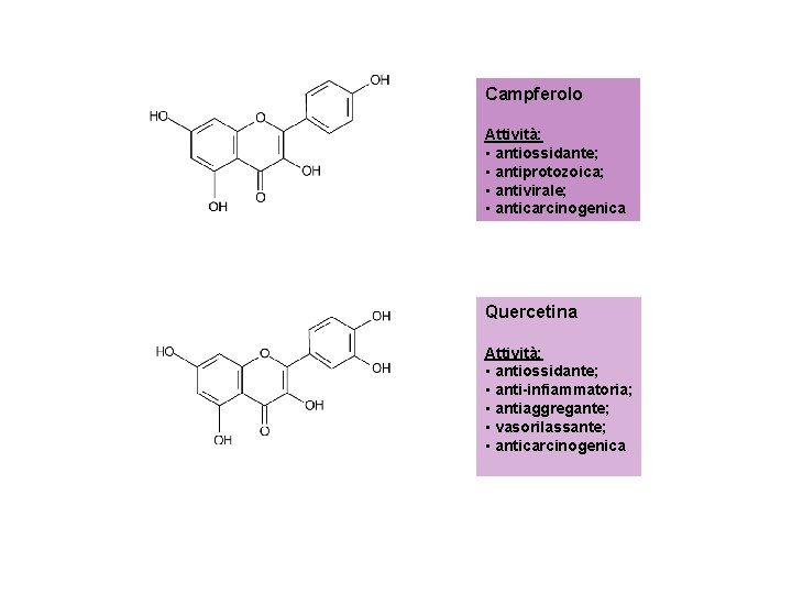 Campferolo Attività: • antiossidante; • antiprotozoica; • antivirale; • anticarcinogenica Quercetina Attività: • antiossidante;