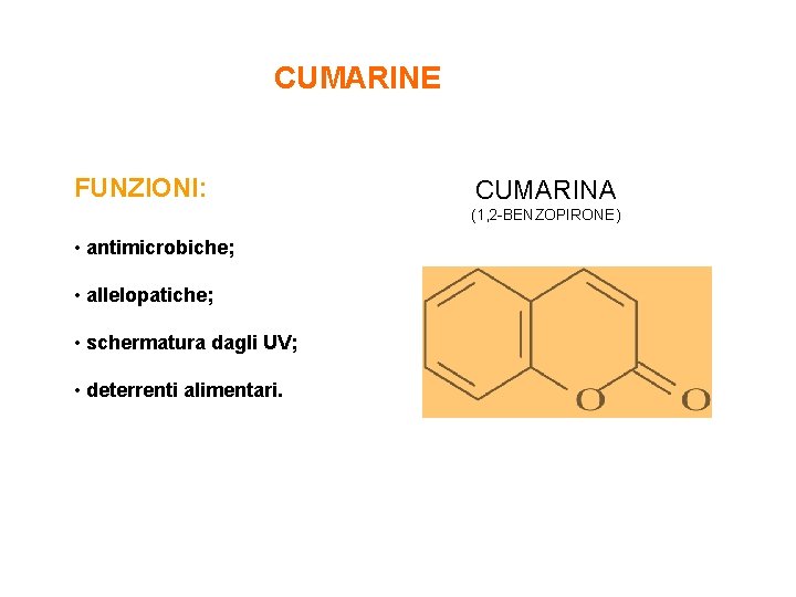 CUMARINE FUNZIONI: CUMARINA (1, 2 -BENZOPIRONE) • antimicrobiche; • allelopatiche; • schermatura dagli UV;