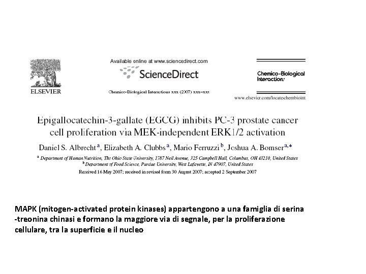 MAPK (mitogen-activated protein kinases) appartengono a una famiglia di serina -treonina chinasi e formano