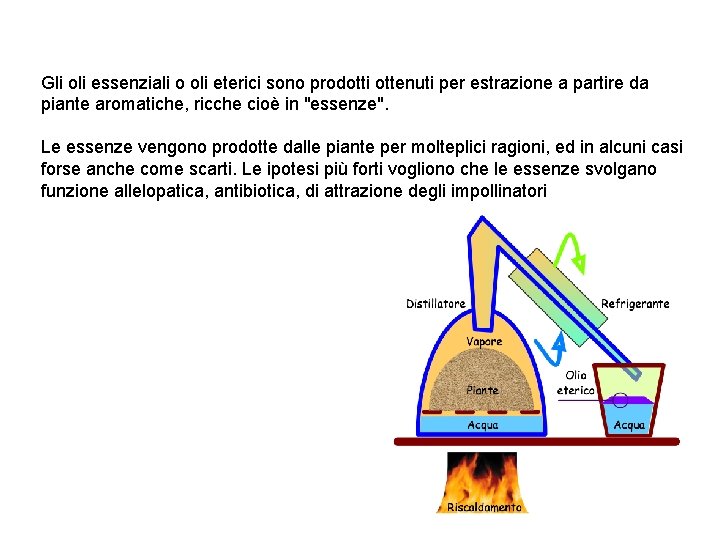 Gli oli essenziali o oli eterici sono prodotti ottenuti per estrazione a partire da