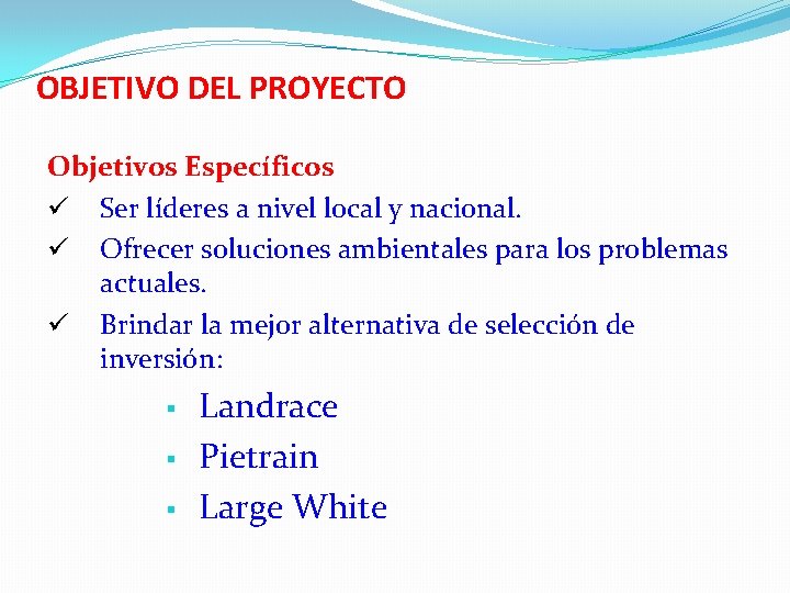 OBJETIVO DEL PROYECTO Objetivos Específicos Ser líderes a nivel local y nacional. Ofrecer soluciones