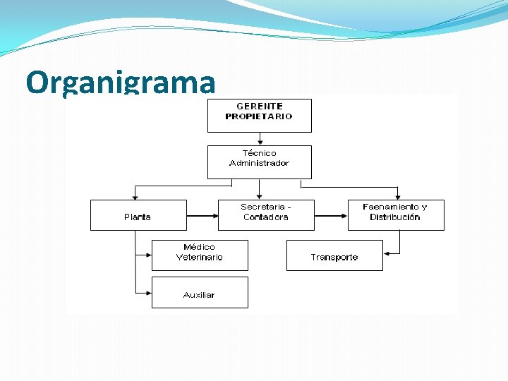 Organigrama 