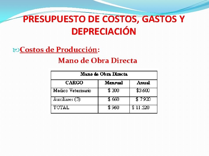 PRESUPUESTO DE COSTOS, GASTOS Y DEPRECIACIÓN Costos de Producción: Mano de Obra Directa 