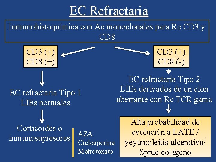 EC Refractaria Inmunohistoquímica con Ac monoclonales para Rc CD 3 y CD 8 CD