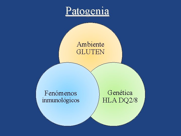 Patogenia Ambiente GLUTEN Fenómenos inmunológicos Genética HLA DQ 2/8 
