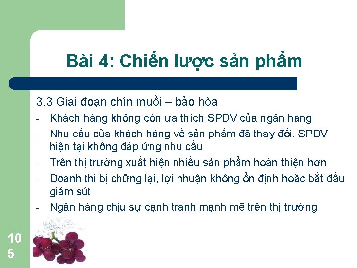 Bài 4: Chiến lược sản phẩm 3. 3 Giai đoạn chín muồi – bảo