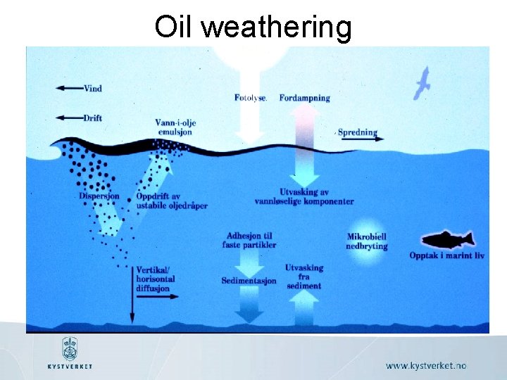 Oil weathering 