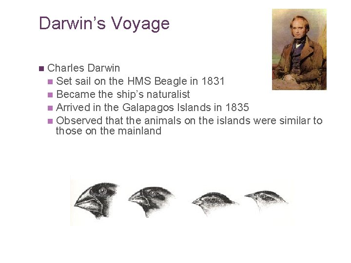 Darwin’s Voyage n Charles Darwin n Set sail on the HMS Beagle in 1831