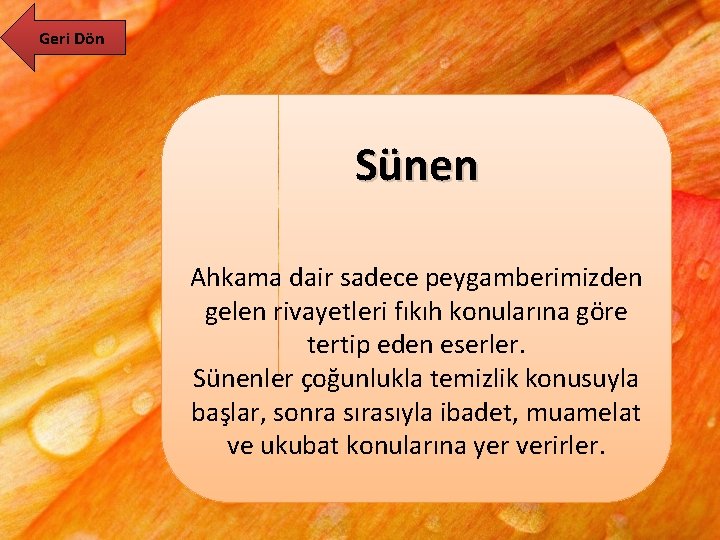 Geri Dön Sünen Ahkama dair sadece peygamberimizden gelen rivayetleri fıkıh konularına göre tertip eden