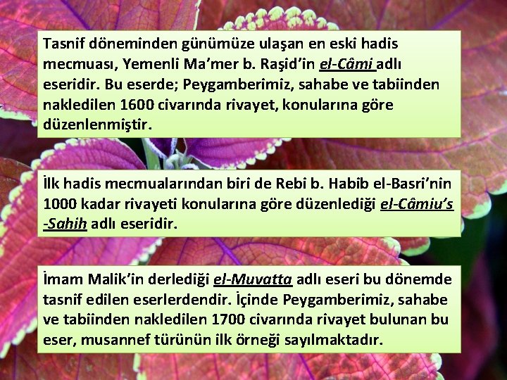 Tasnif döneminden günümüze ulaşan en eski hadis mecmuası, Yemenli Ma’mer b. Raşid’in el-Câmi adlı