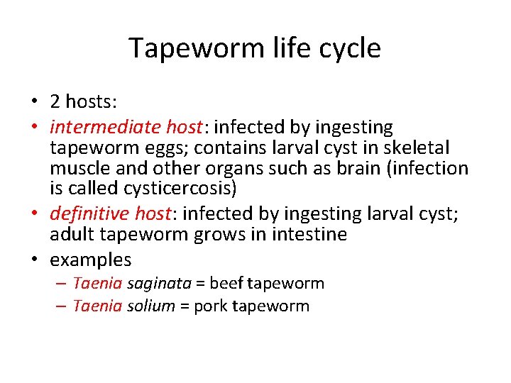Tapeworm life cycle • 2 hosts: • intermediate host: infected by ingesting tapeworm eggs;