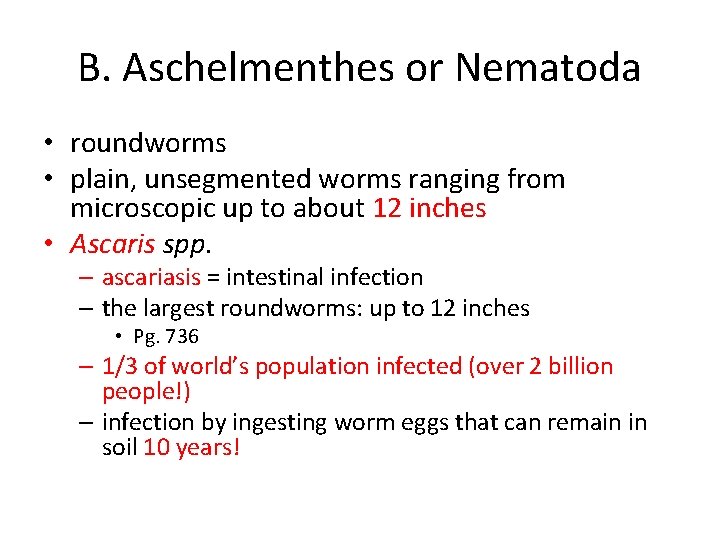 B. Aschelmenthes or Nematoda • roundworms • plain, unsegmented worms ranging from microscopic up